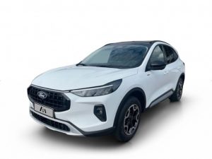 FORDVINKUGAFAKEFI_01