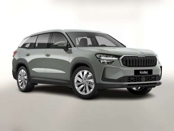 Skoda Kodiaq TDI 150 DSG Selec NeuesMod Nav ACC Kam