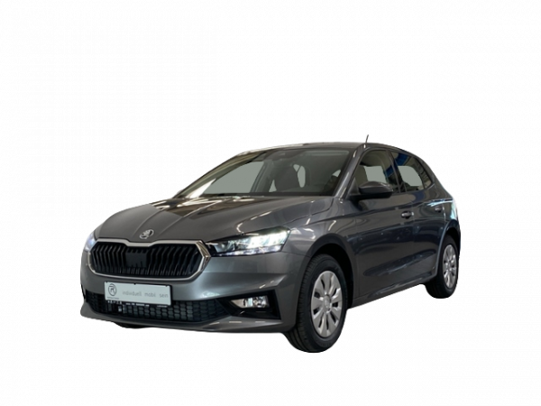 auto-import_faaren_skoda_fabia-1