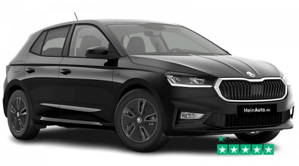 auto-import_meinauto_skoda_fabia-1