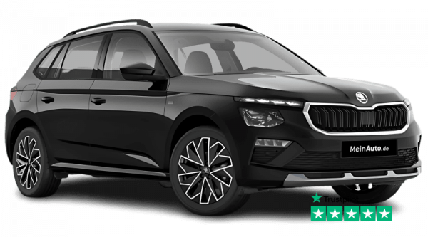 auto-import_meinauto_skoda_kamiq-1