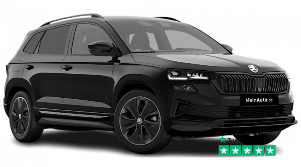 auto-import_meinauto_skoda_karoq-1