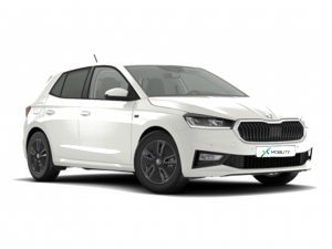auto-import_x-mobility_skoda_fabia-8