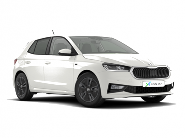 auto-import_x-mobility_skoda_fabia-8