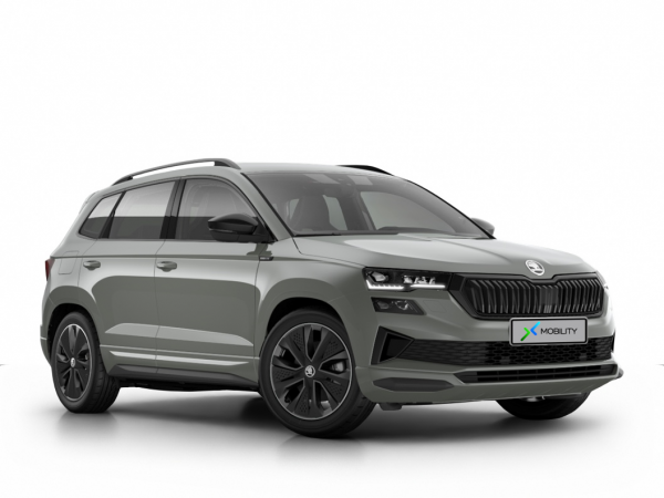 auto-import_x-mobility_skoda_karoq-32